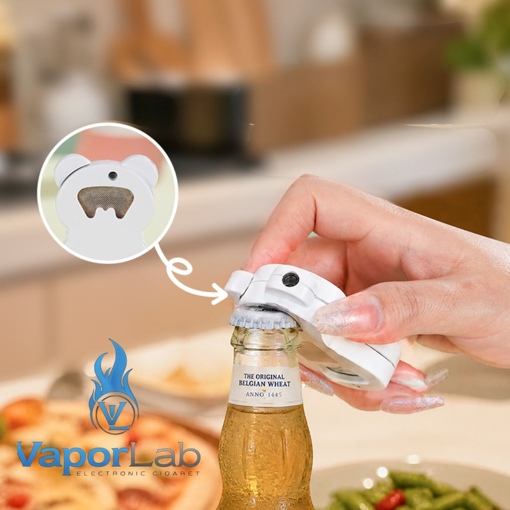 korek api lucu gas mudah diisi ulang ada bukaan botol model panda motif unik dengan indikator gas kaca 3850